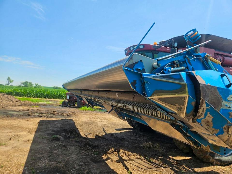 SHELBOURNE REYNOLDS CVS32