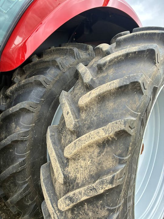 Case Magnum 295